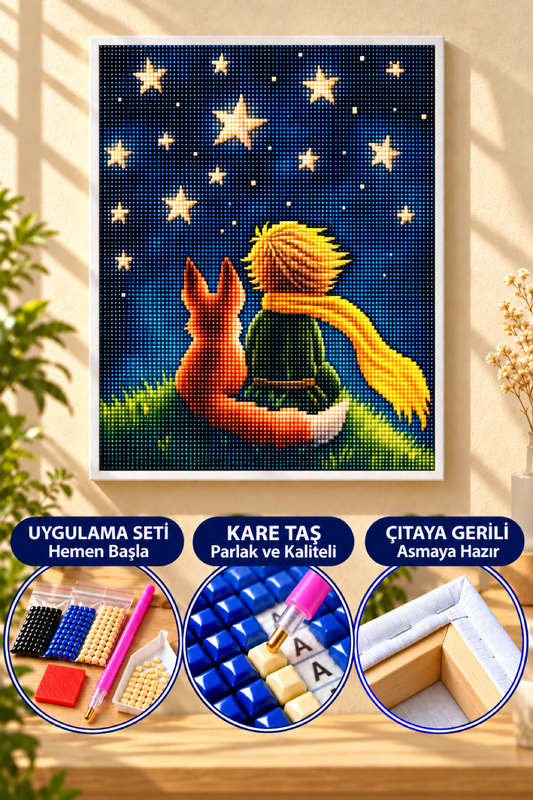 Küçük Prens 50x40 cm